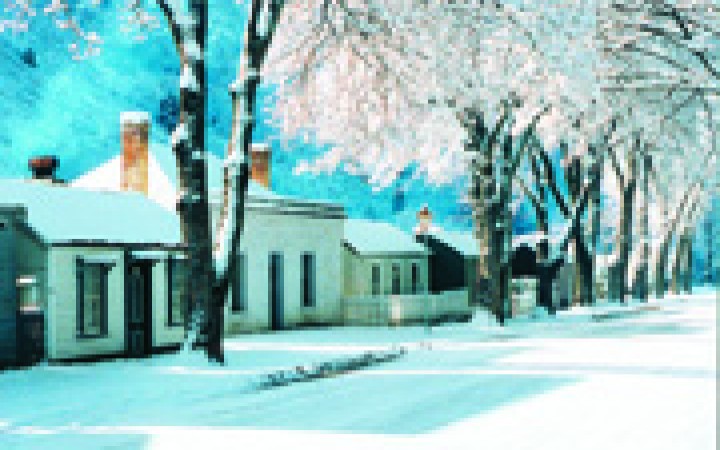 Arrowtown Cottages in Snow