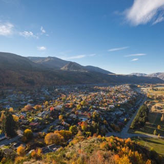 Arrowtown in Autumn from Feehly Hill