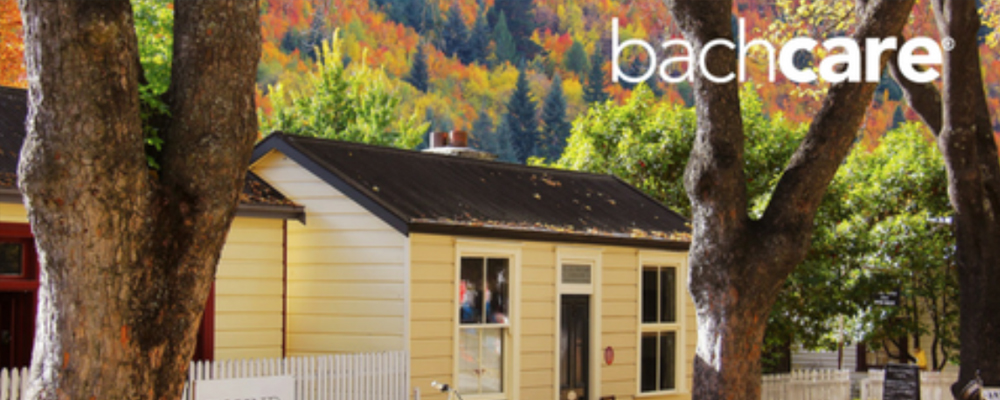 Where To Stay Arrowtown