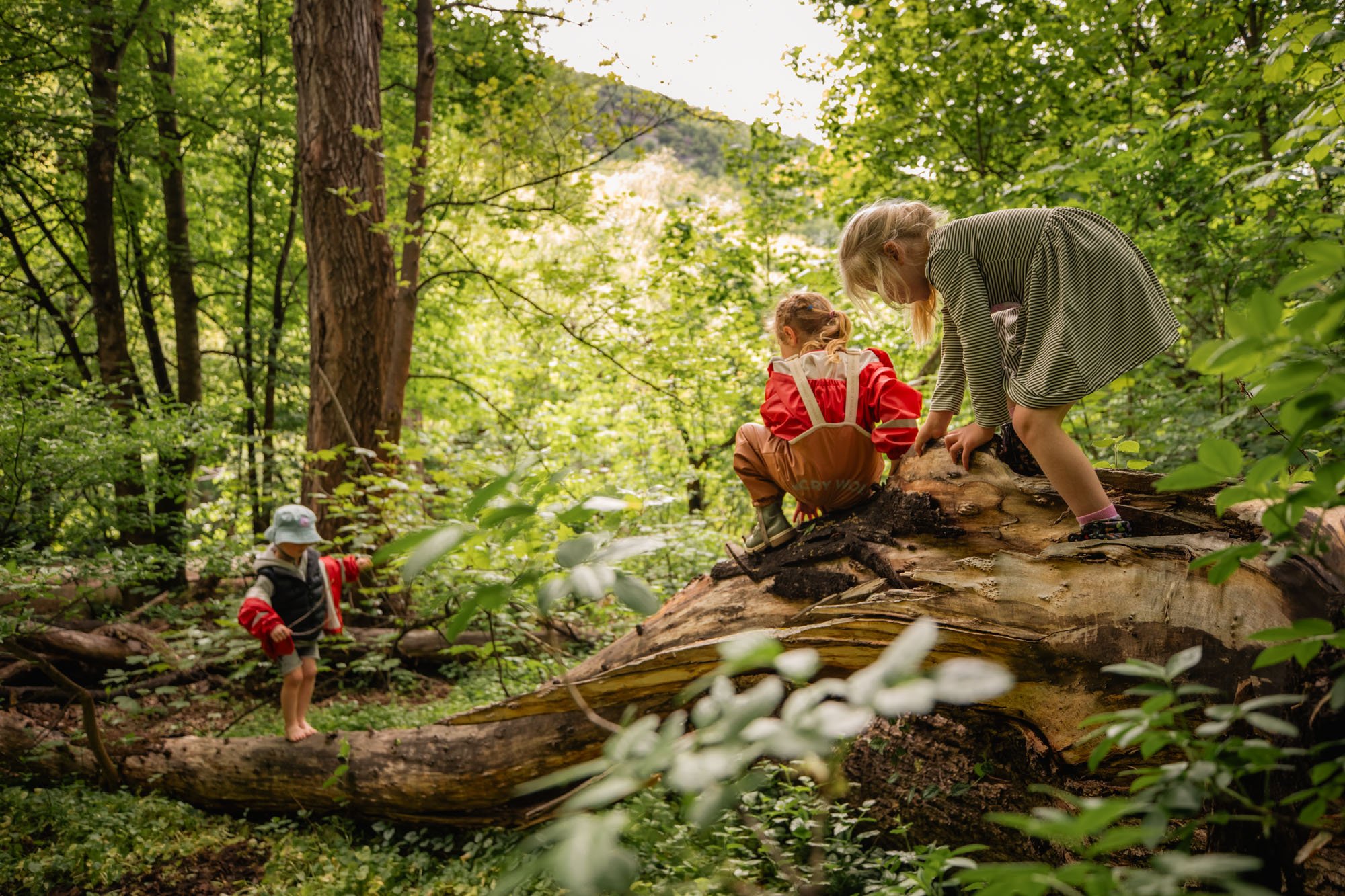 Arrowtown Preschool Durham Street - nature programme discoverers explorers
