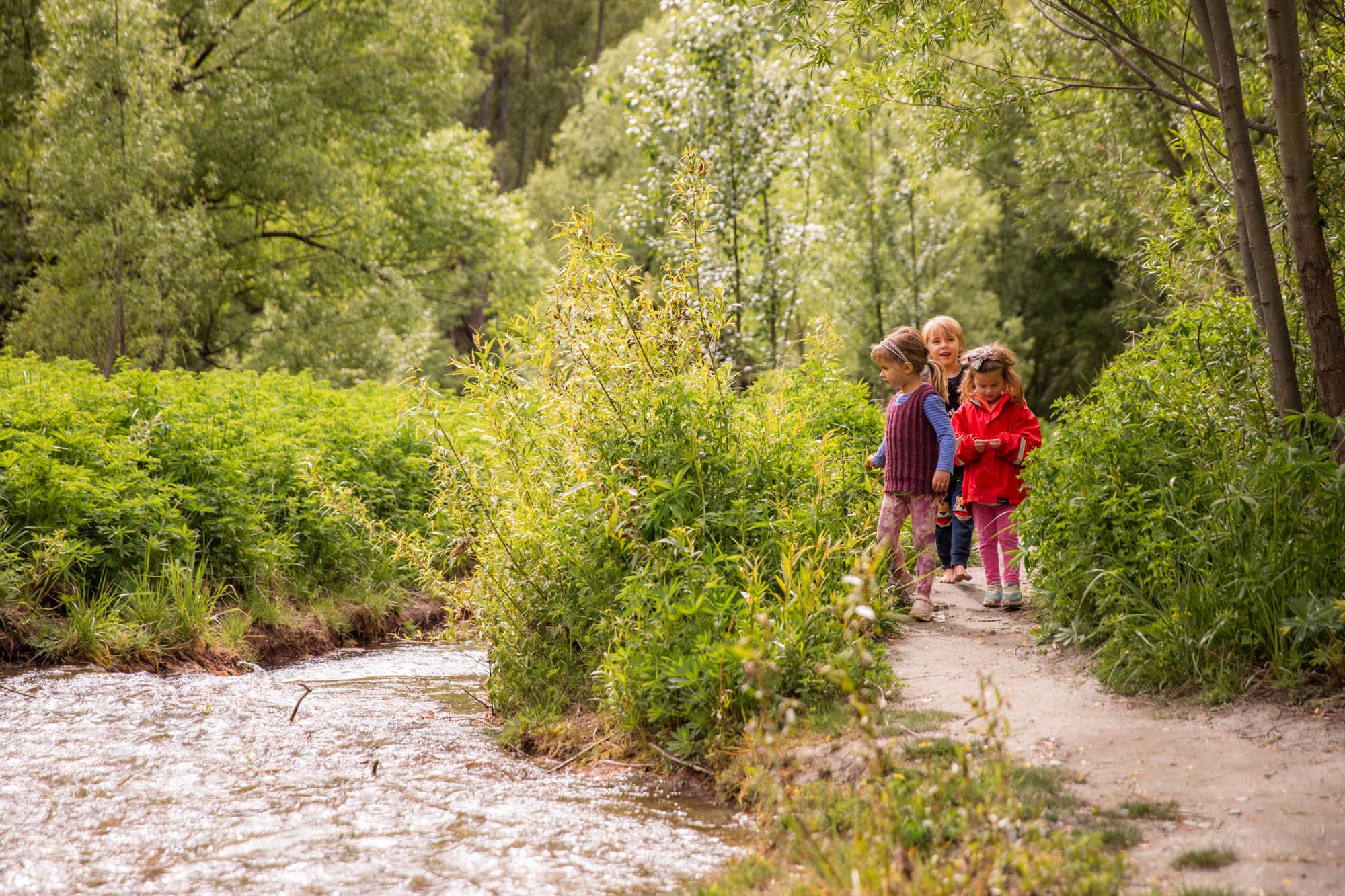 Arrowtown Preschool - Durham Street river nature programme Vaughan Brookfield_-4571