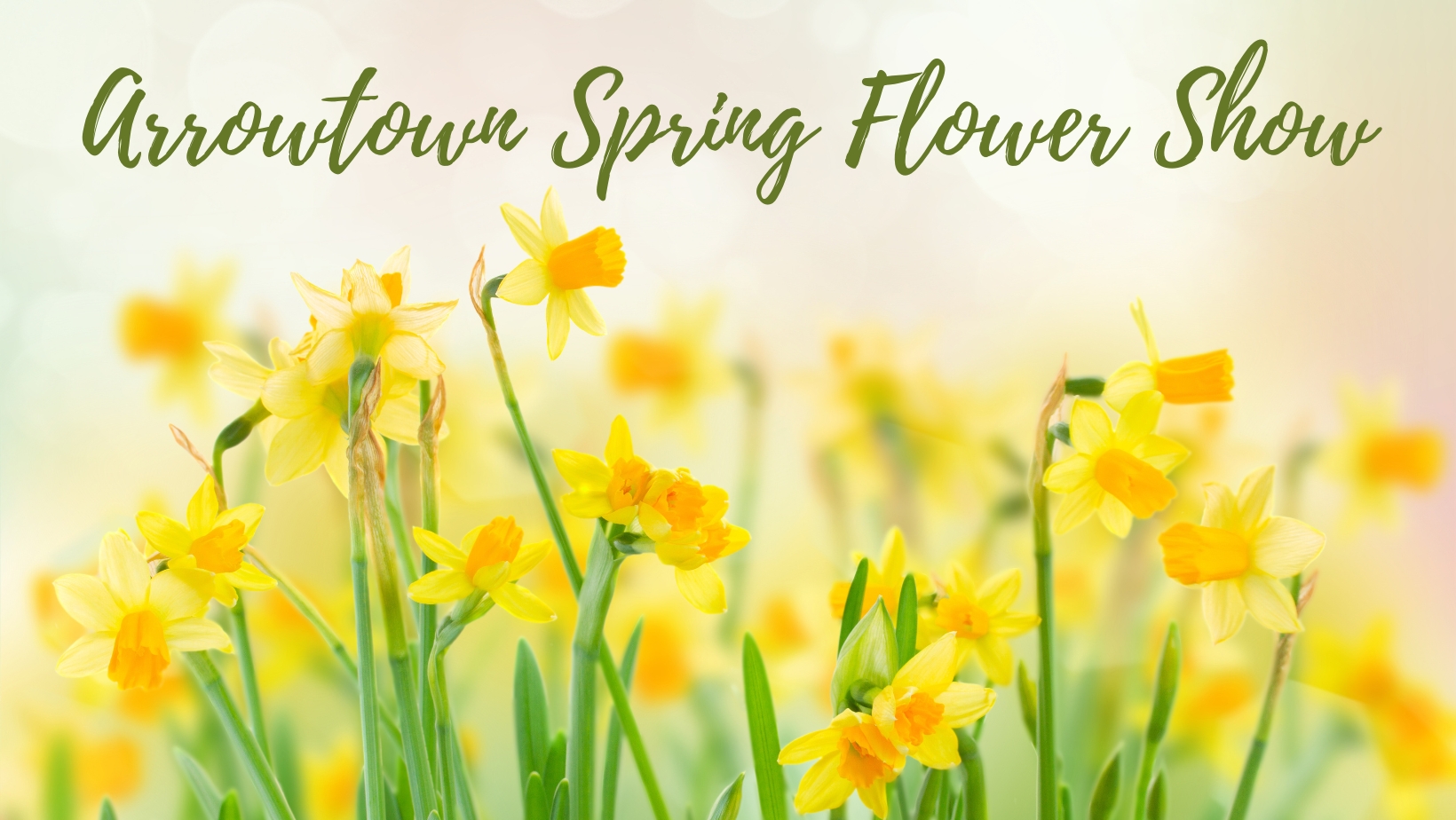 Arrowtown Spring Flower Show